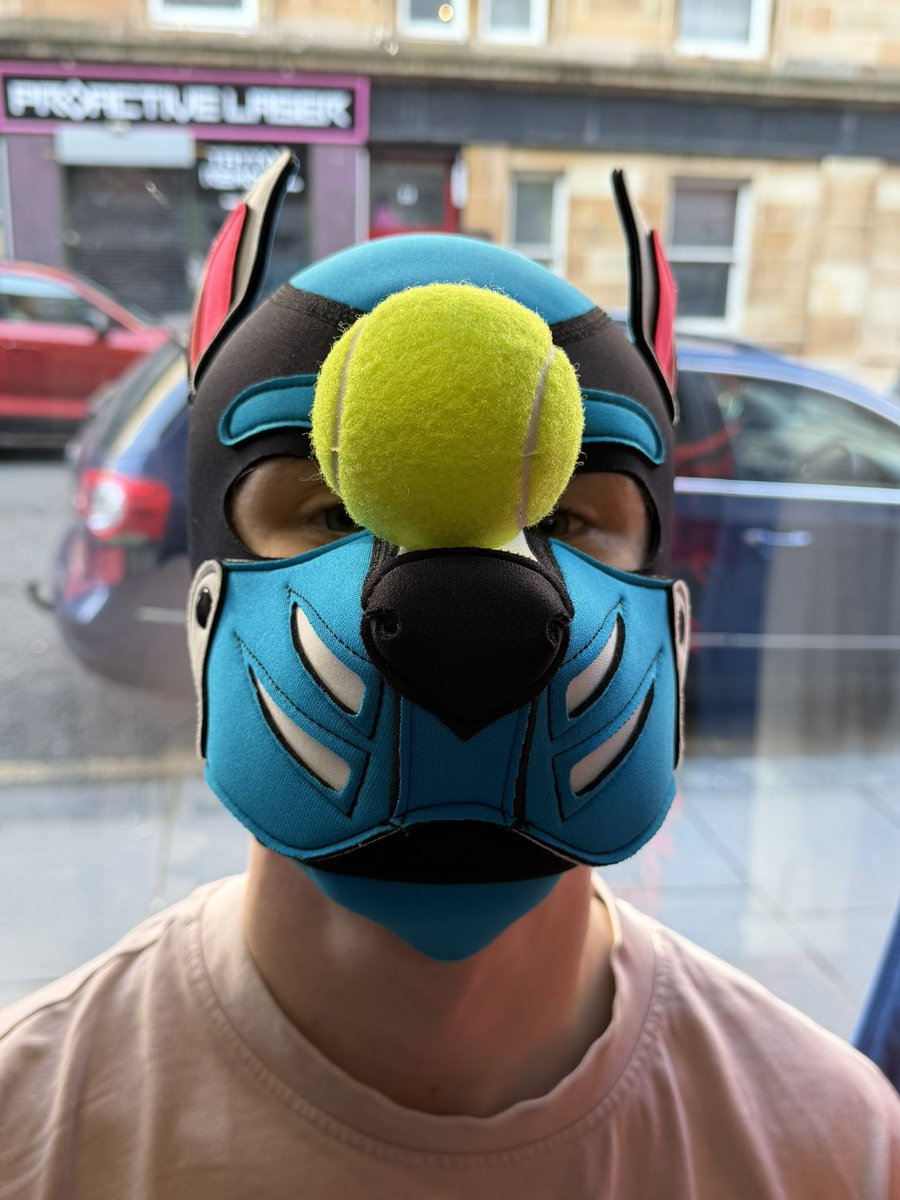 Aspen🐾🔜 WeePadded tweet media