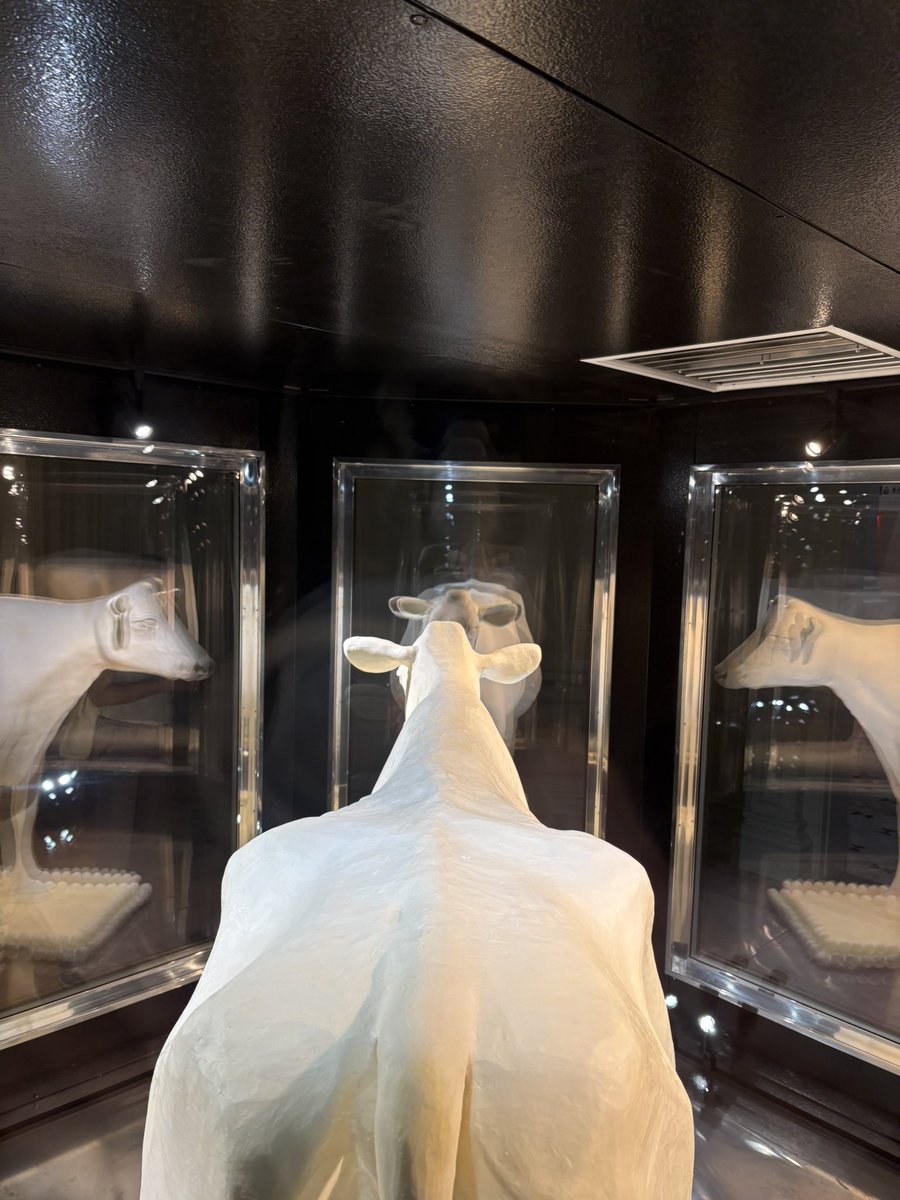 John Ourand tweet media