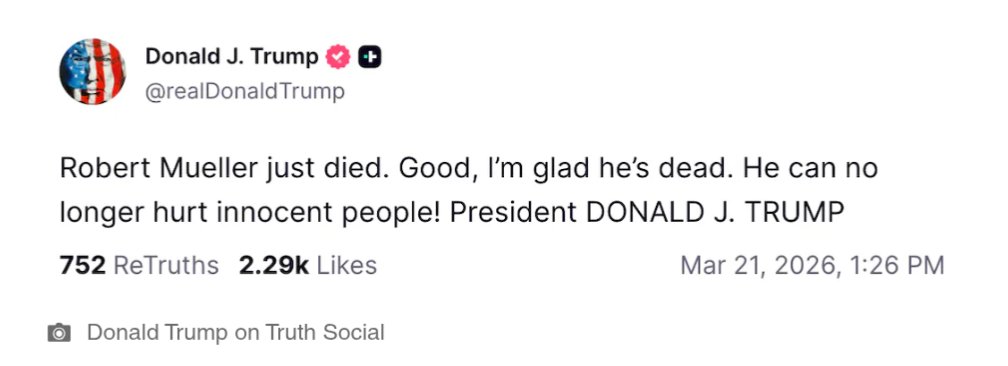 Professional body pillow user tweet media