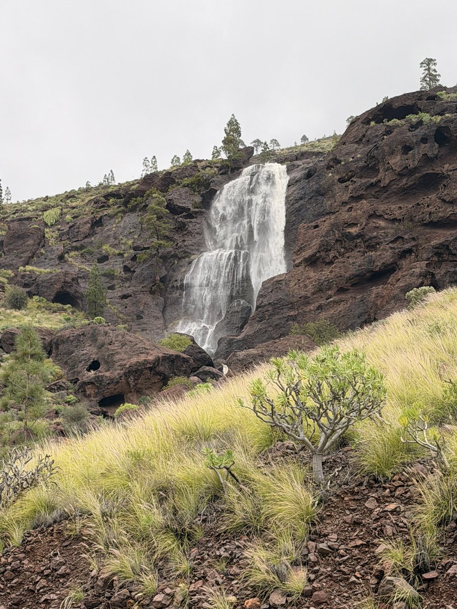 MeteoGarza⚡ tweet media