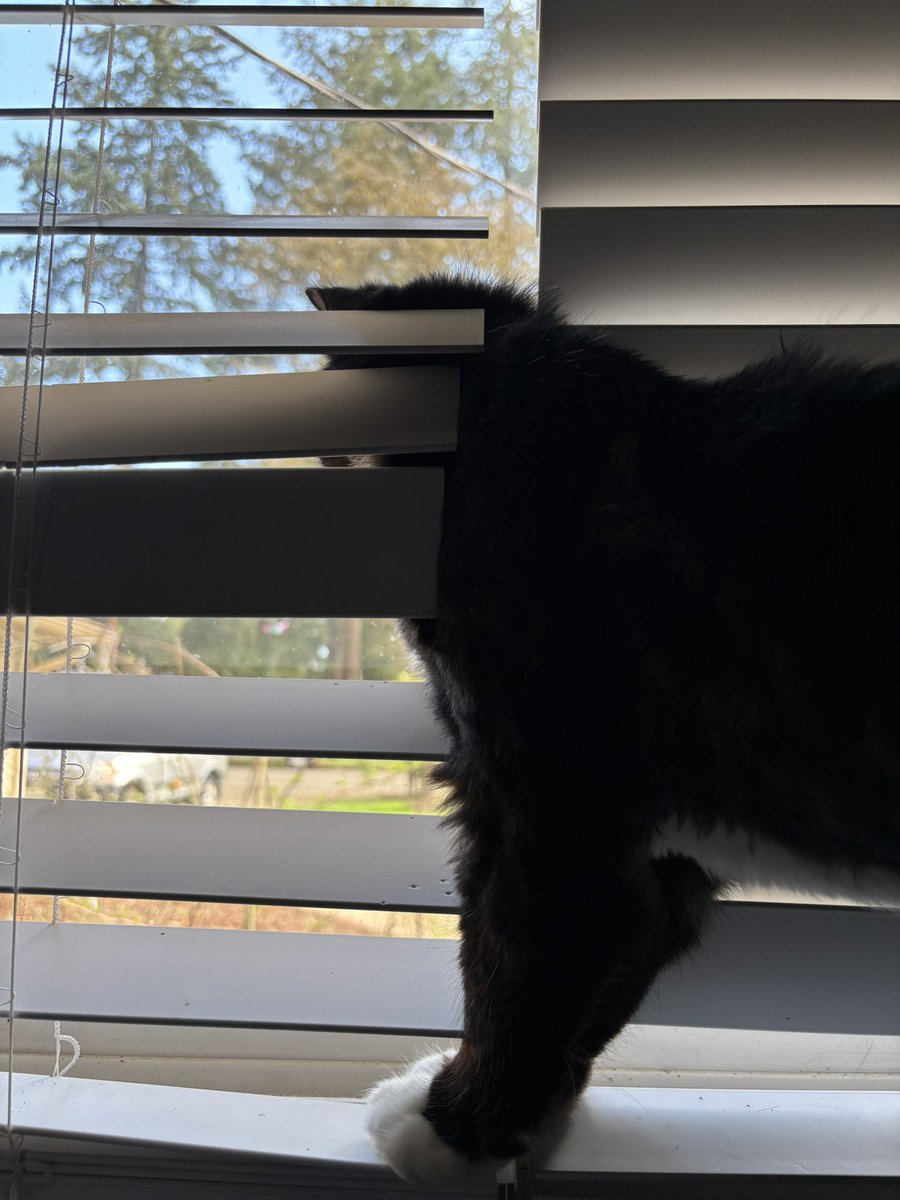 hysterical and useless tweet media