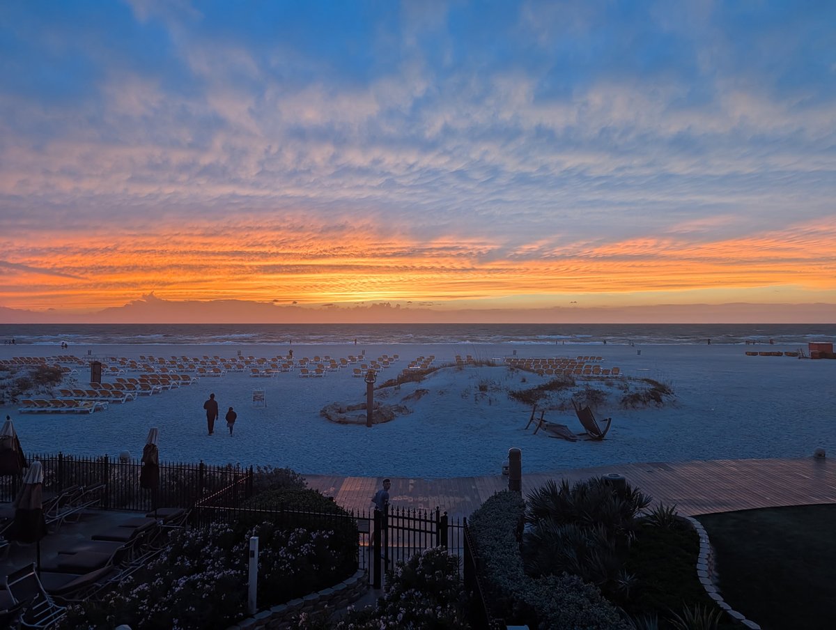 Professor Twain 🌻🌻🌻🌻🌻🌻🌻🌻🌻🌻🌻 tweet media