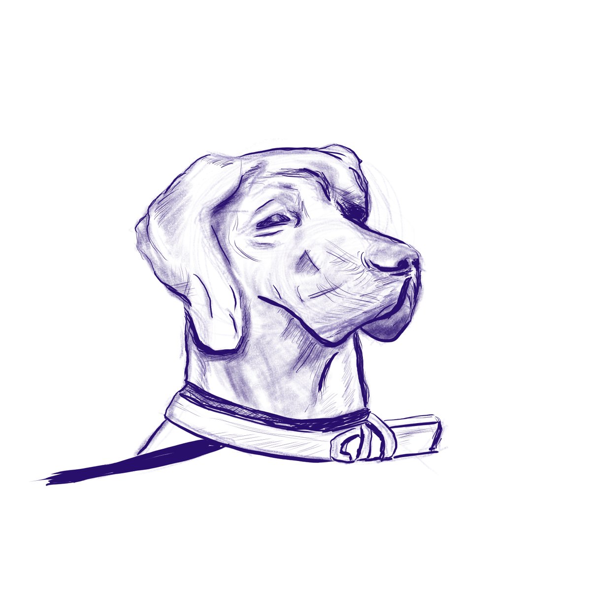 PurrSophy's tweet photo. Digital drawing of a Scooby Doo Dog. https://t.co/meuDxSVIsh