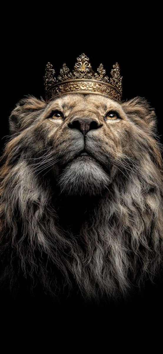 ❤💛murooo💛❤ tweet media