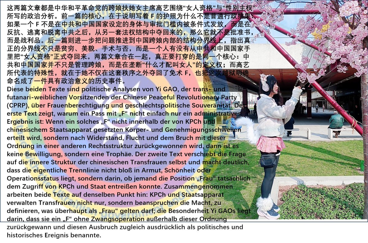 中华和平革命党(CPRP) Chinese Peaceful Revolutionary Party tweet media