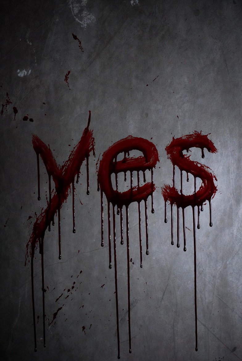 Nathaniel Mulcahy🪕🌹 tweet media