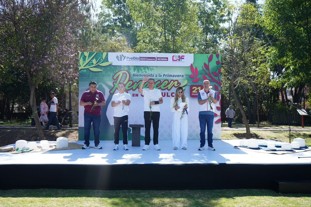 Pepe Chedraui 🇲🇽 tweet media