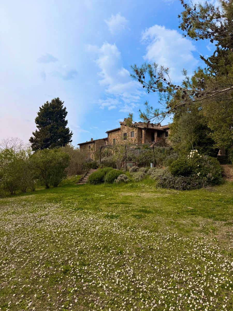 Yayou 🍋 tweet media