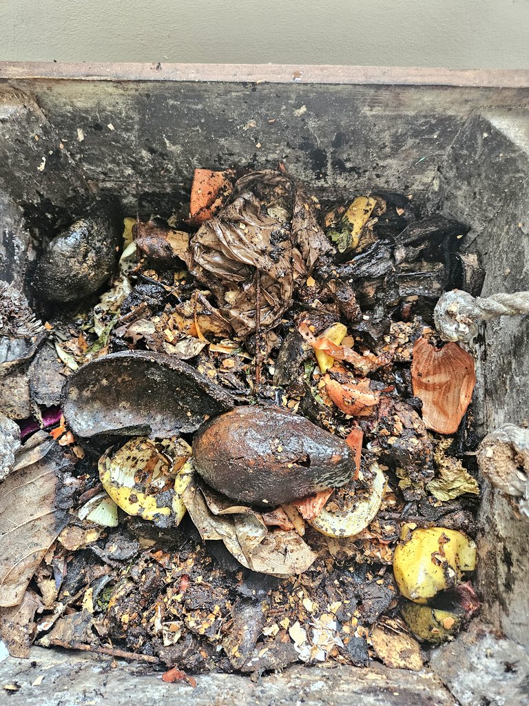 Gina Bayo tweet media