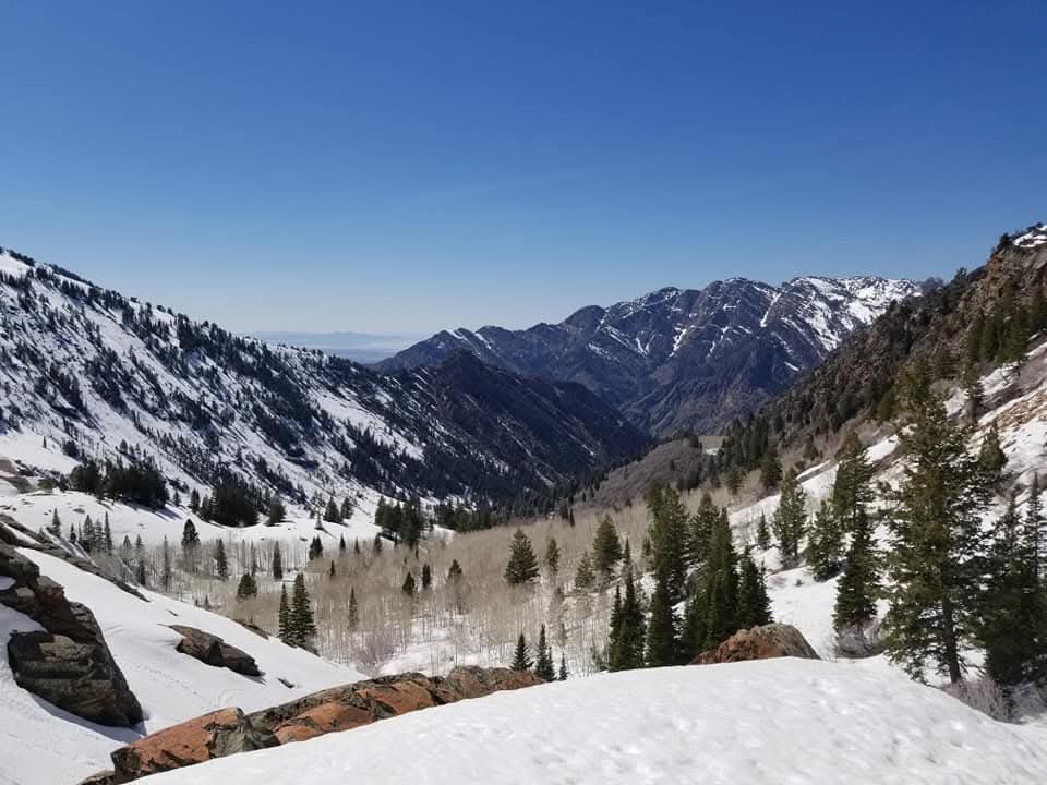 Oh, Shenandoah 🇻🇦 ❤️‍🔥 tweet media