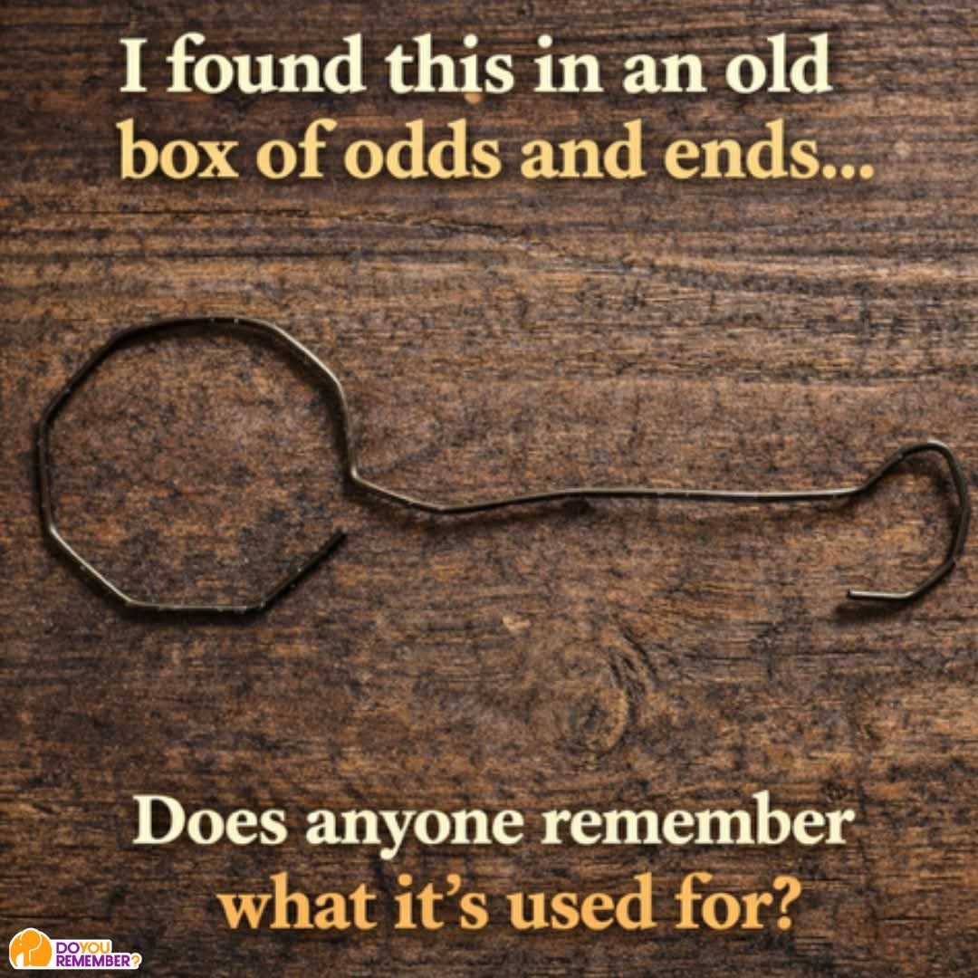 Elizabeth❣️ tweet media