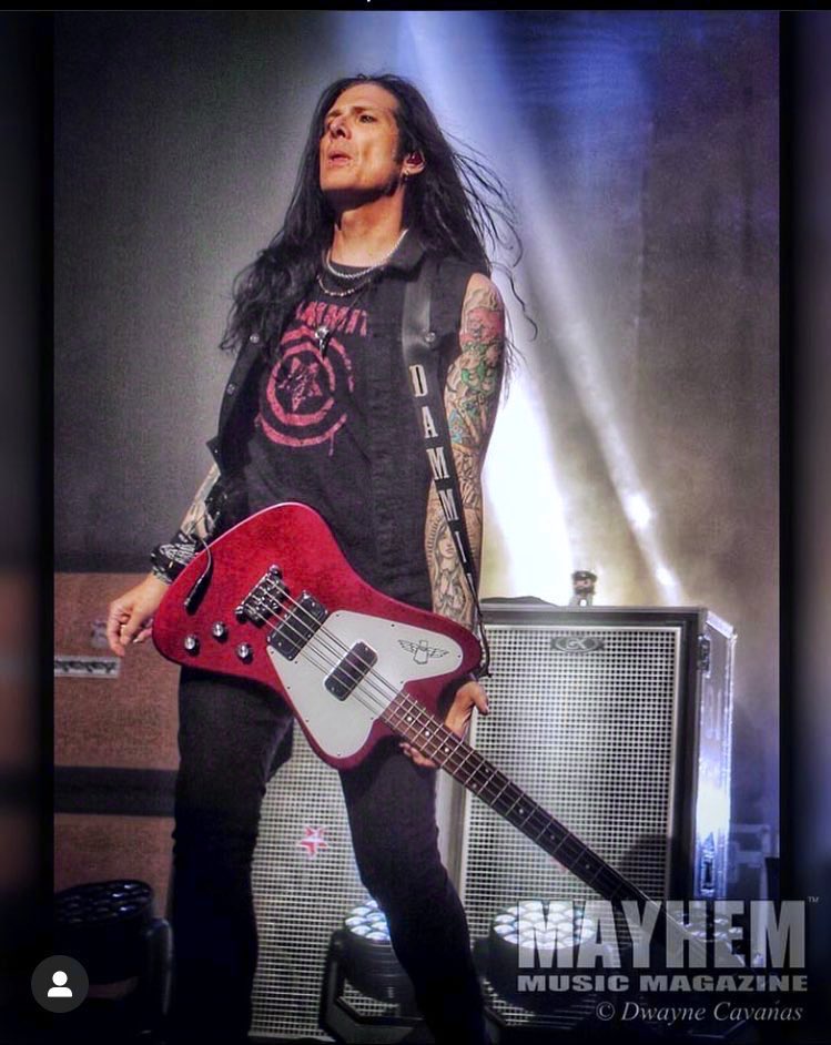 AgentRoyale's tweet photo. New TODD KERNS DAMMITWEAR by AGENT ROYALE ✌️♥️ Don’t just wear it, Rock it! FREE GUITAR PICK with every purchase ⚡️@todddammitkerns @AgentRoyale #slash #toddkerns #share #madeincanada #toronto  #november #blackfriday #smkc #gypsy #tarot #dammit #Canada #canadian #LasVegas #tshirt #nft #horrortees #December #rockit #italy    #Italia @Slash