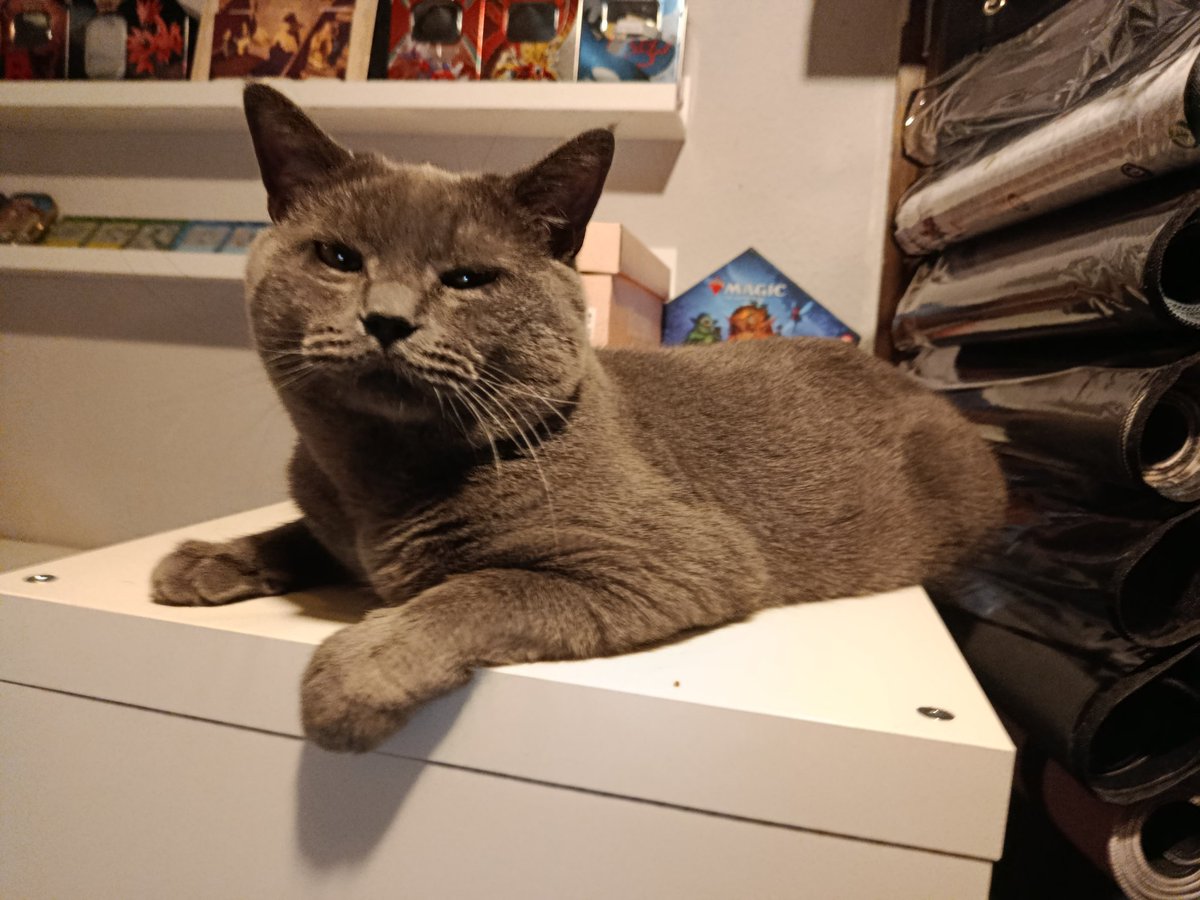 Cosmo $SMO tweet media