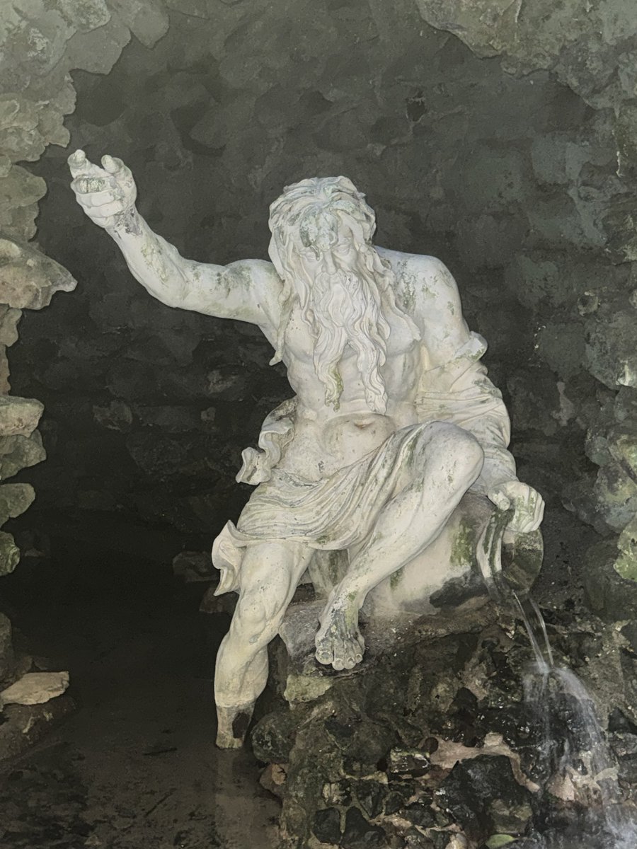 Dawn Williams tweet media