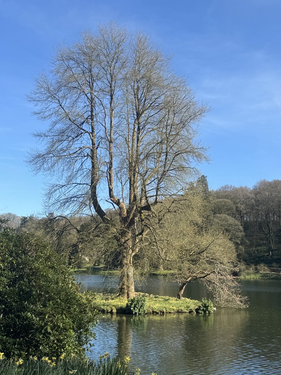 Dawn Williams tweet media