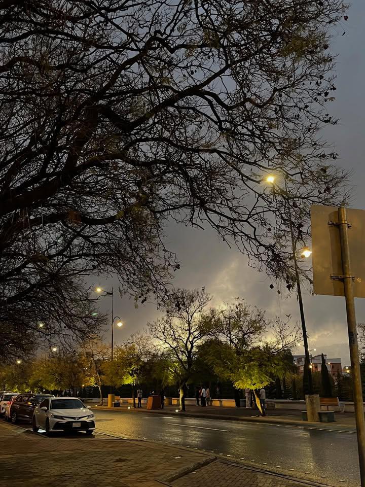 نُوْف 想い tweet media