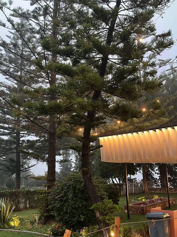 نُوْف 想い tweet media