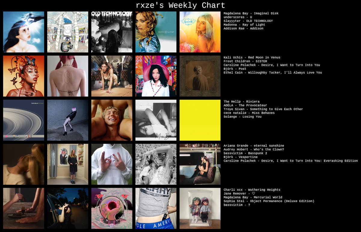 praise 🐻 tweet media