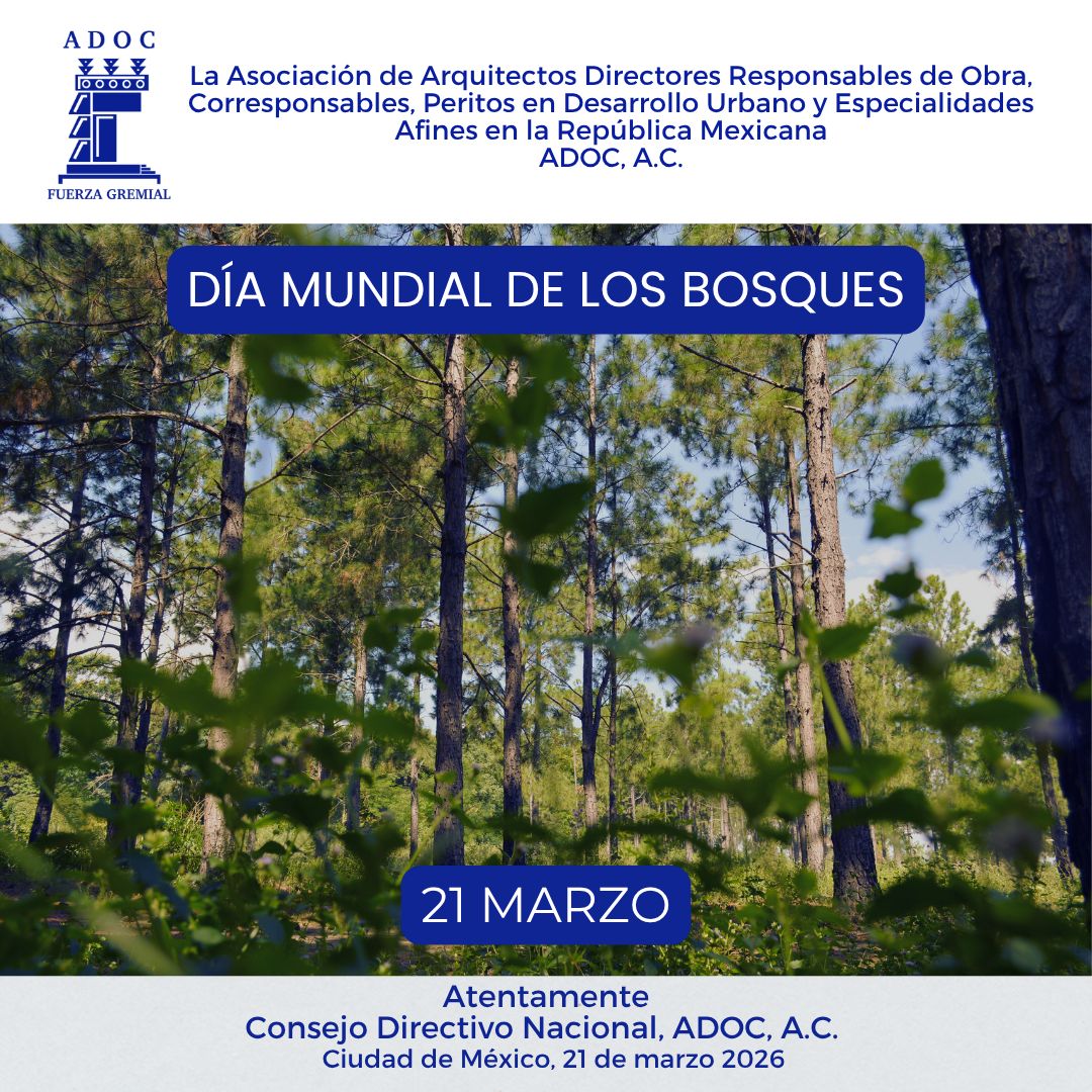 adocac's tweet photo. La #adocnacional se une al Día Mundial de los Bosques 🌿🌎, reconociendo su valor para la vida y el futuro de nuestras ciudades.
Como gremio, reafirmamos nuestro compromiso con la sostenibilidad y su conservación. 🌱
#adocnacional #CAMSAM https://t.co/TQlrNmIJhf