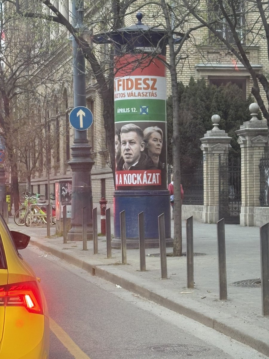 Alonso 🇪🇸 tweet media