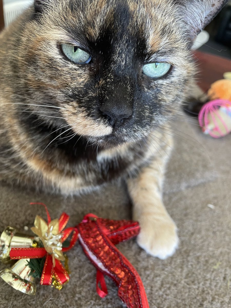 miss e moo tweet media