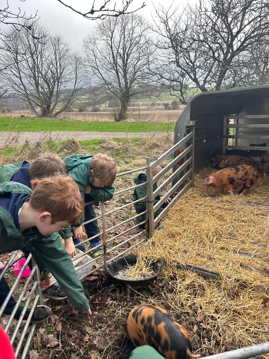 Ardvreck School tweet media