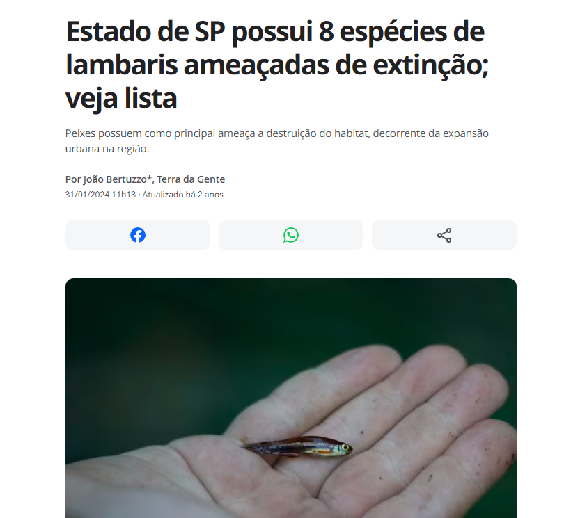 Innarik🐲 tweet media