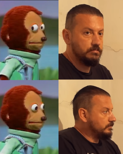 lsengard tweet media