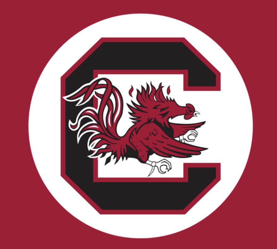 Bear Woods tweet media