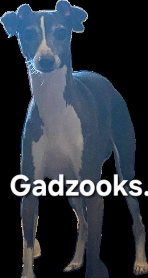 Im Just Looking for My Watch 🦬 tweet media