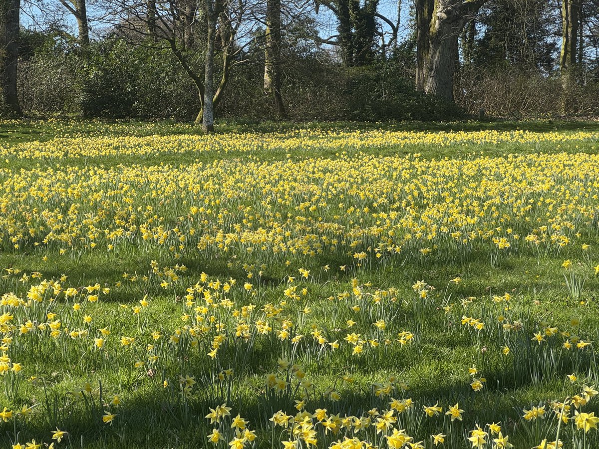 Dawn Williams tweet media