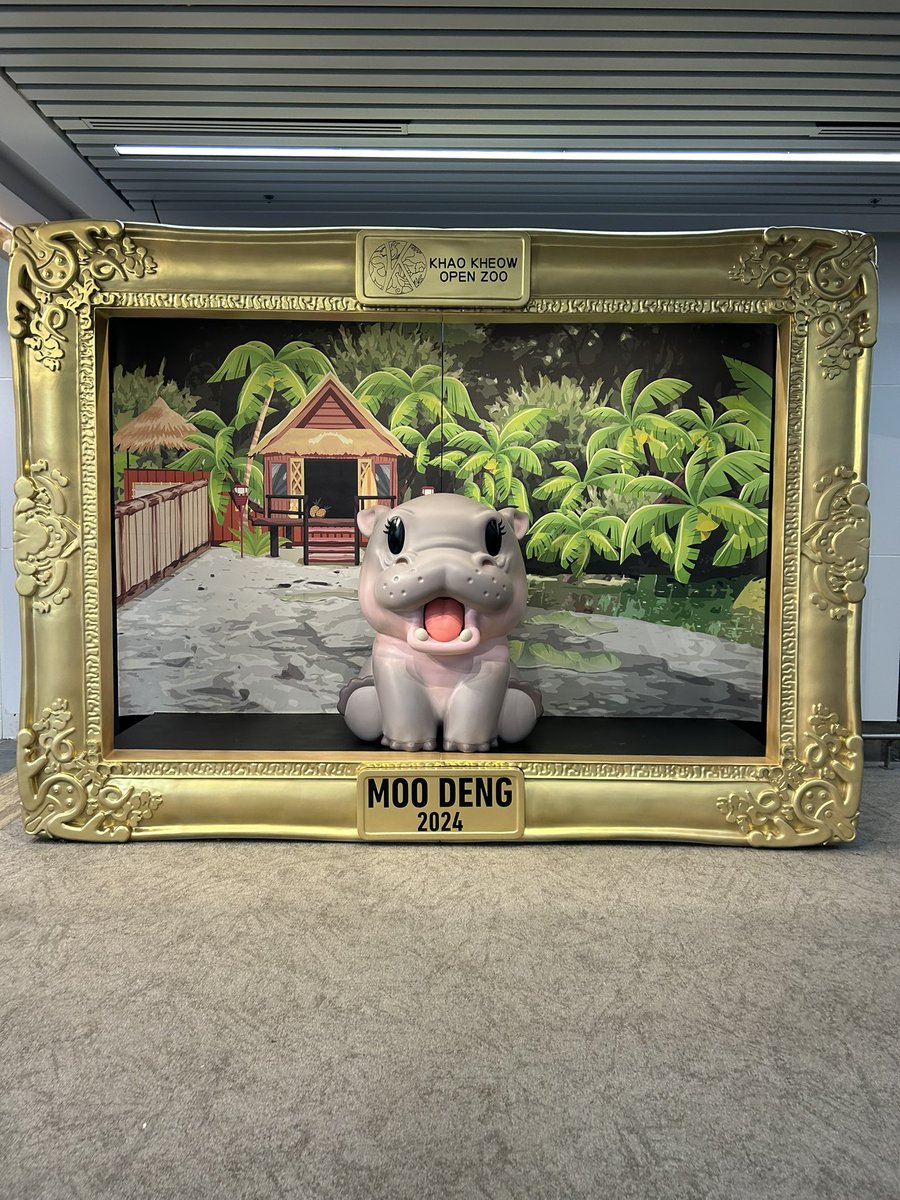 Rob Hallam tweet media