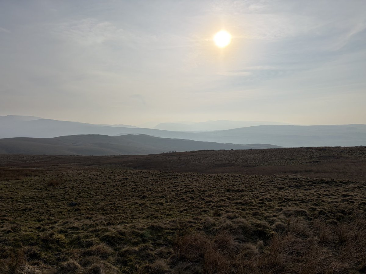 ☠️ Matt 👾 tweet media