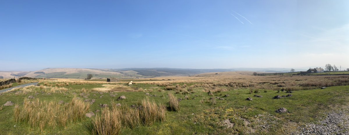 ☠️ Matt 👾 tweet media