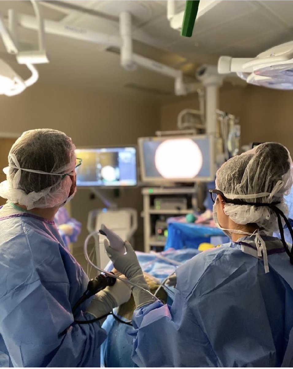 Loyola Neurosurgery tweet media