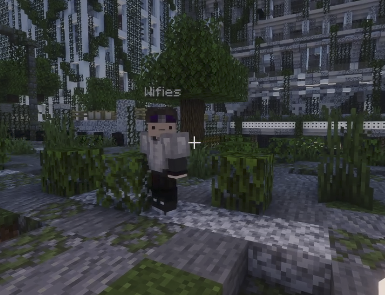 woosh 🌙 tweet media