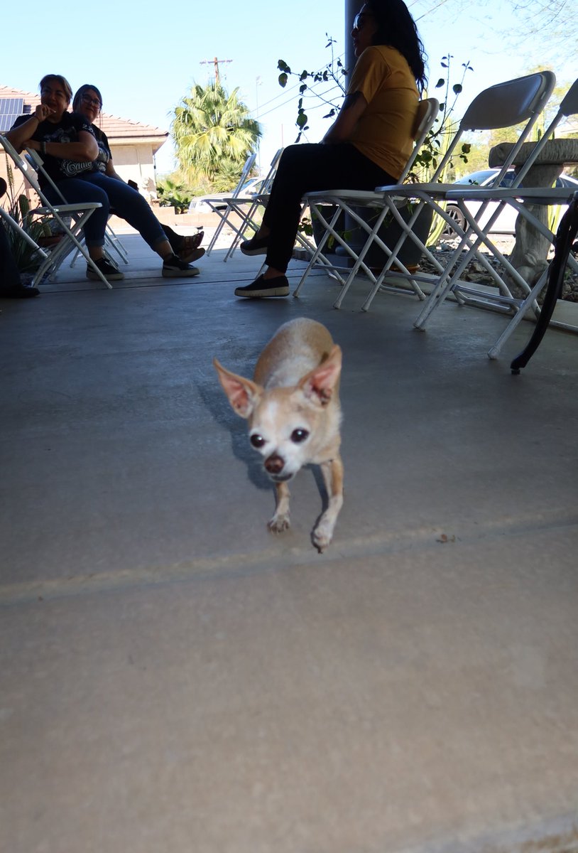 Adore ♡ tweet media