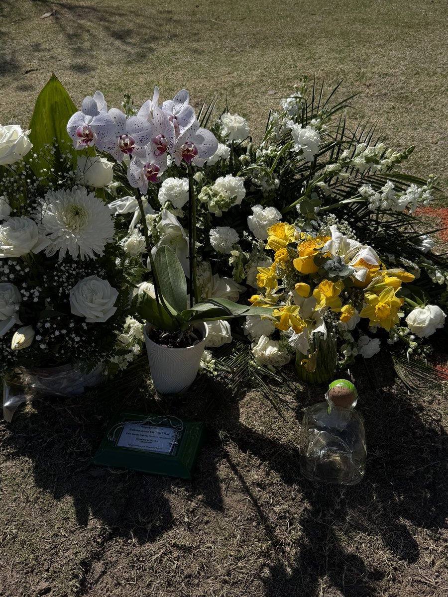 Adore ♡ tweet media