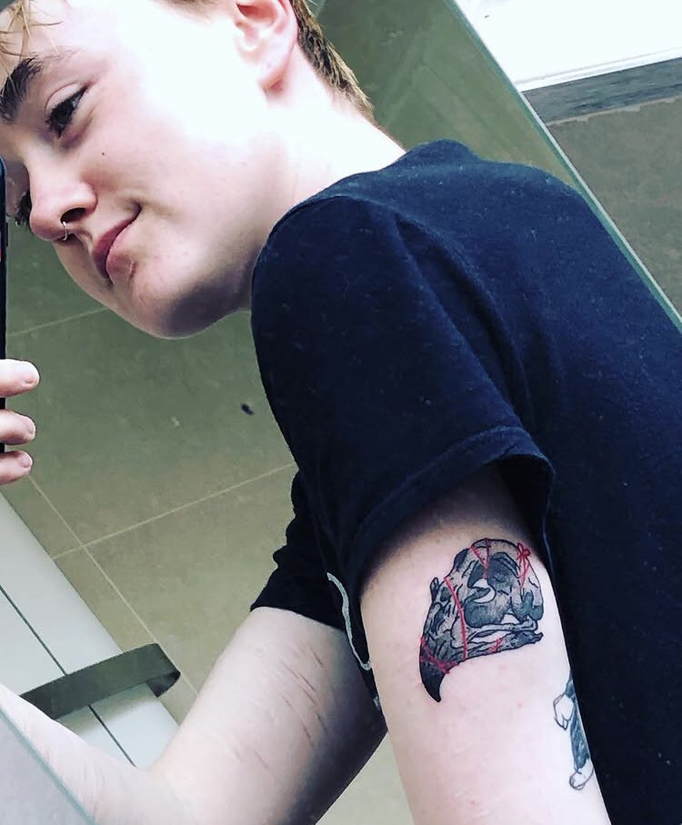 Awkward Turtle tweet media