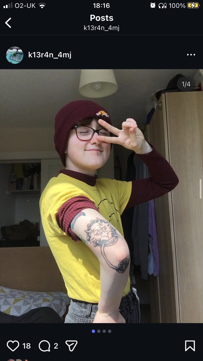 Awkward Turtle tweet media