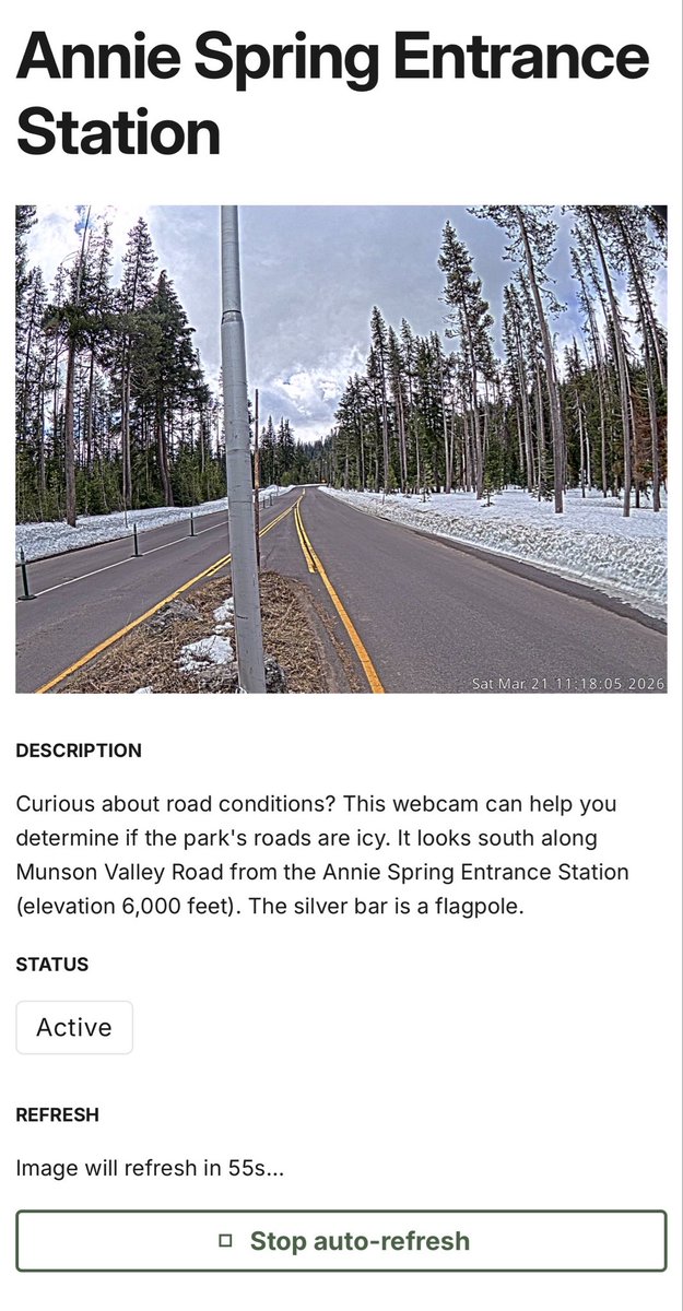 Mazama /Giiwas 🌋 tweet media