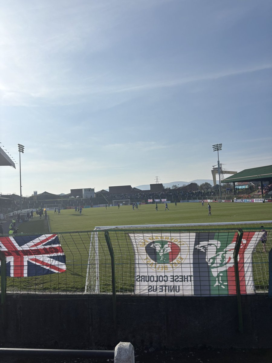 Mitchell Preston tweet media