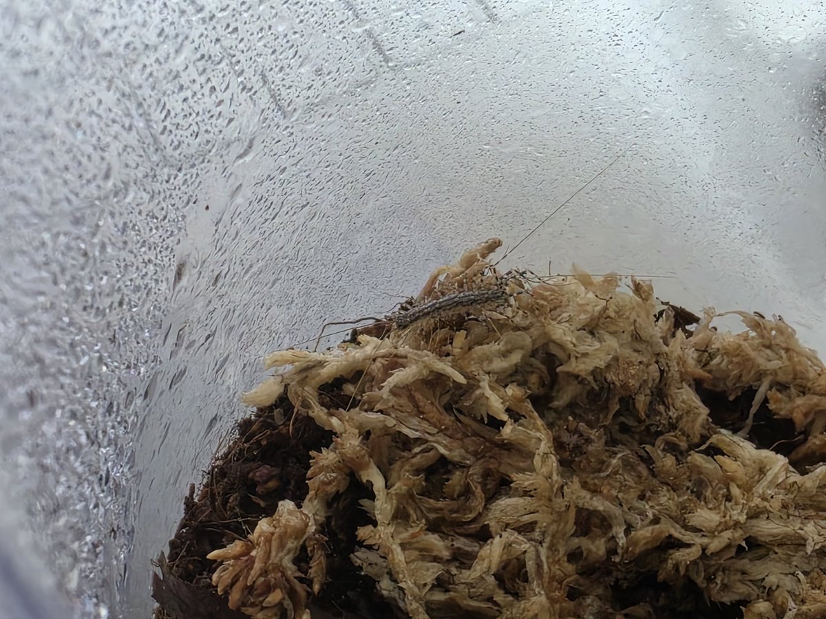 아기들사진올리는곳🐛 tweet media