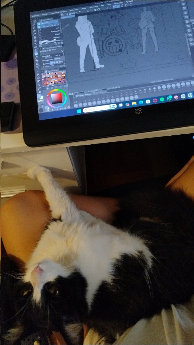 lu 🇦🇷 tweet media