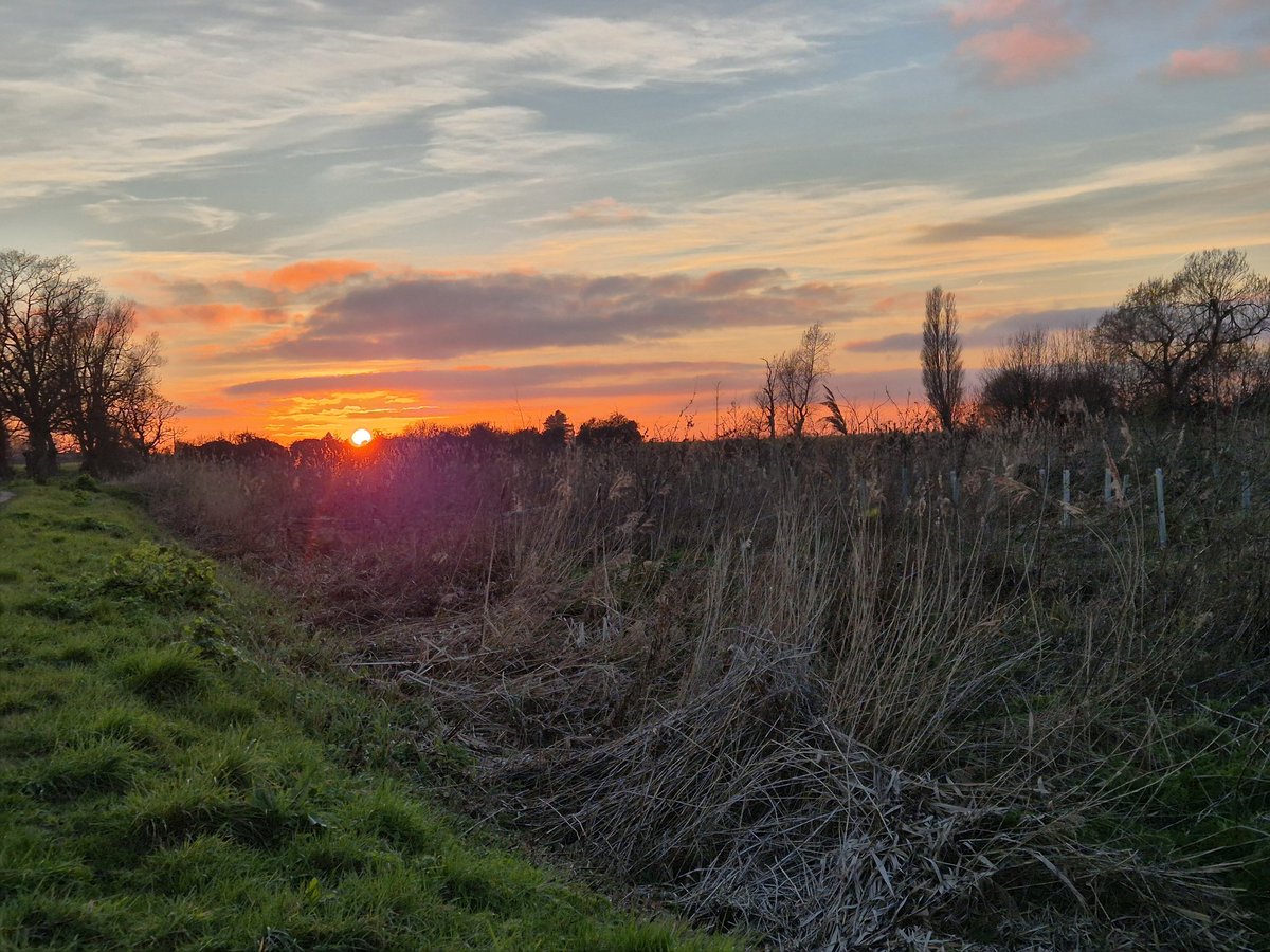 mick davis tweet media