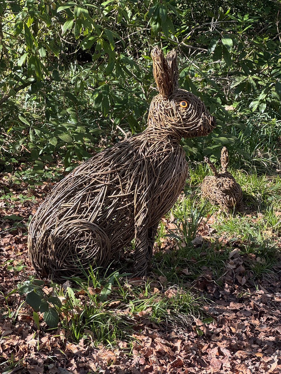 Dawn Williams tweet media