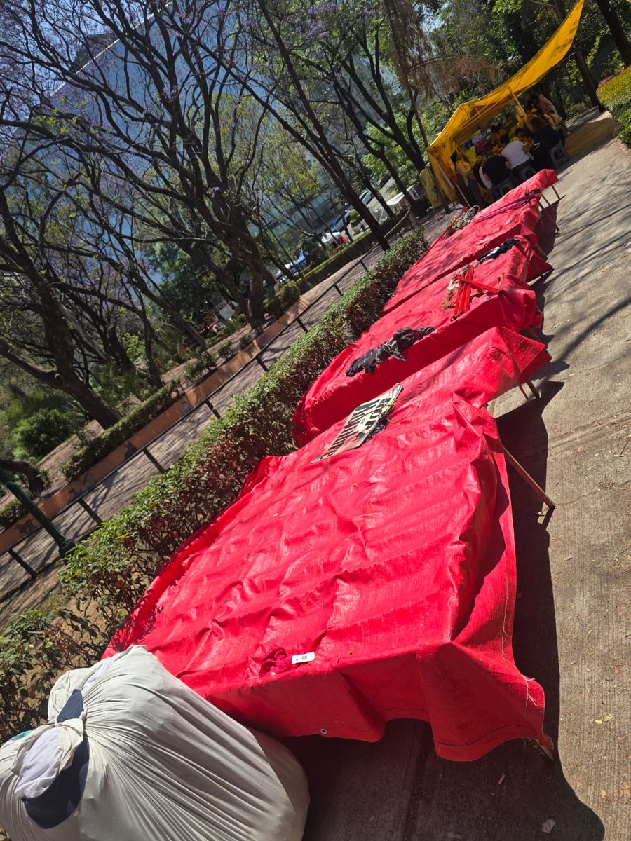 Rosa Rusiles tweet media