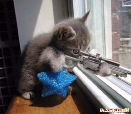 Nth Tinder tweet media