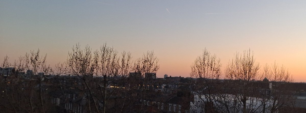 MeesterAl tweet media