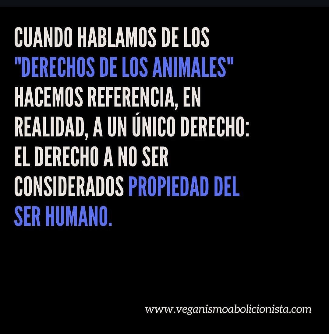 Filosofía Vegana tweet media